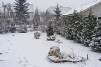 DSCF1983.JPG