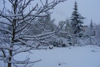 DSCF1992.JPG