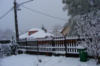 DSCF1997.JPG