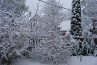 DSCF1998.JPG