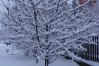 DSCF2002.JPG