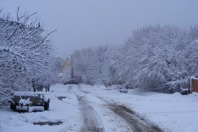 DSCF2003.JPG