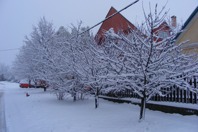DSCF2004.JPG