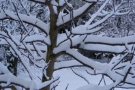 DSCF2012.JPG