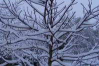 DSCF2014.JPG