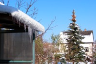 DSCF2061.JPG