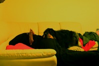 DSCF2087.JPG