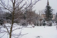 DSCF2105.JPG