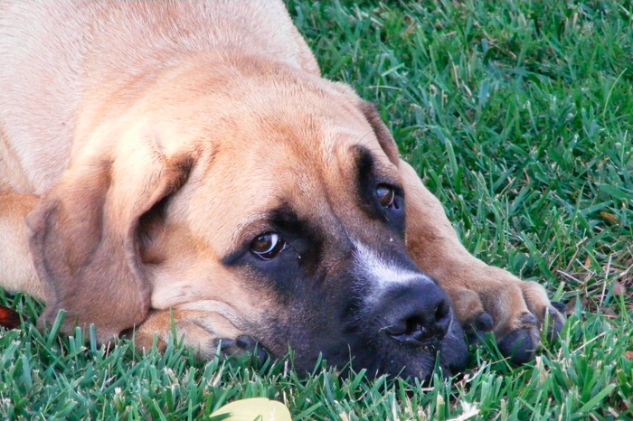 DSCF1096.JPG