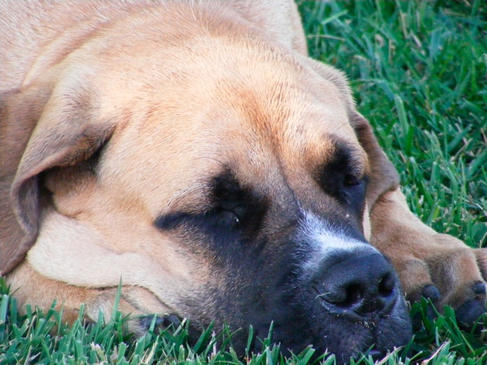 DSCF1106.JPG